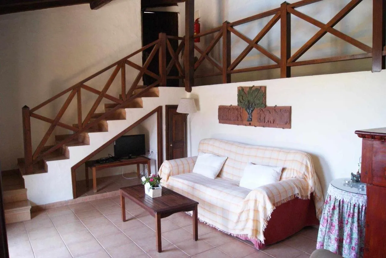 Casa Rural El Olivar La Oliva Santa Lucia De Tirajana Country house